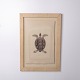 Decorative print featuring a turtle motif, framed and dating from around the 1980s. The artwork ...