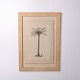 Decorative print featuring a palm tree motif, framed and dating from around the 1980s. The ...