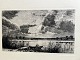 Click a photo to view the large photo