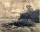 Niss, Thorvald (1842 - 1905) Denmark: Storm at Esrum Lake, 1896. Etching. Signed: Thorv Niss and ...