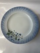 Dinner plate Christineholm PorcelainNumber 3Diameter 25 cmNice and well-maintained condition