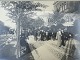Framed photo from old Copenhagen circa 1910, Photo dimensions 23.5cm x 17cm, With frame 30.5cm x ...