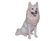 click to zoom