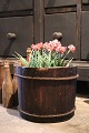 Swedish 19th century wooden container with old original color. Super nice for flower pot ...
