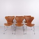 Set of six Series 7 chairs designed by Arne Jacobsen and manufactured by Fritz Hansen. The ...