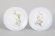 Royal Copenhagen, pair of Art Nouveau plates.Pair of Art Nouveau porcelain plates with ...