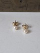 Akoya pearl stud earrings in 9ct gold. Stamped 375. Pearl diameter: 4 mm.