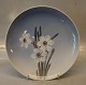 Decorative Wall plate 0029-1125 Plate 25.5 cm White Flowers Royal Copenhagen  In mint and nice ...