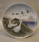 1508-1125 Plate geese 25 cm Goose Royal Copenhagen  In mint and nice condition