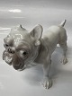 Bing & Grondahl Dog figurine Bulldog.Decoration number 1676.1st grade.Measures 10.5 ...
