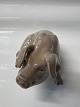 Bing and Grondahl, Sitting Pig Figurine.Designed by Dahl Jensen.Decoration number ...