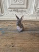 Royal Copenhagen figure - rabbit no. 1019