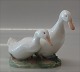 Royal 
Copenhagen 
birds 2128 RC 
Drake and duck 
Design Olaf 
Mathisen 1920 
11 x 12 cm In 
mint and ...