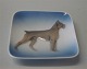 Royal 
Copenhagen dog 
card tray In 
mint and nice 
condition