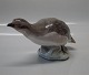 Royal 
Copenhagen bird 
2261 RC 
Patridge Peter 
Herold 1914 9 x 
18 cm  In mint 
and nice 
condition