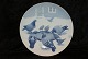 Rare great 
Christmas plate 
in 1909, Poor 
sparrow fly 
down from the 
roof. 
Bing & ...