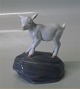 Royal 
Copenhagen 4760 
RC Kid on rock 
11 x 8 cm 1st.  
In mint and 
nice condition 
Goat Design ...