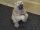 Standing polar bear from Dahl Jensen, NO 1157 H: 38 cm 5000 m2 showroom