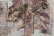 click to zoom