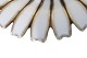 click to zoom