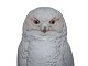 click to zoom
