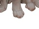 click to zoom
