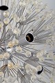 click to zoom