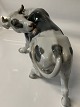 click to zoom
