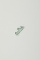 click to zoom