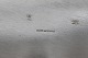 click to zoom