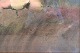 click to zoom