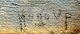 click to zoom click to zoom