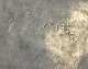 click to zoom