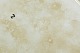 click to zoom click to zoom