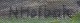 click to zoom