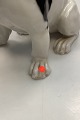 click to zoom