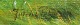 click to zoom