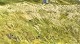 click to zoom click to zoom