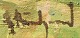 click to zoom click to zoom
