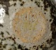 click to zoom click to zoom