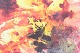 click to zoom click to zoom