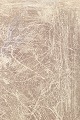 click to zoom click to zoom