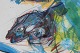 click to zoom click to zoom