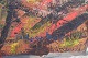 click to zoom