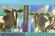click to zoom