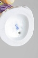 click to zoom click to zoom