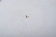 click to zoom click to zoom