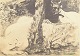 click to zoom
