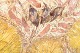 click to zoom