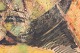 click to zoom click to zoom